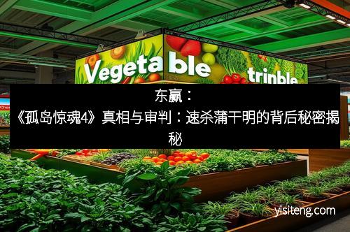 东赢：《孤岛惊魂4》真相与审判：速杀蒲干明的背后秘密揭秘
